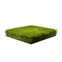 AI generated green grass land on transparent background PNG image