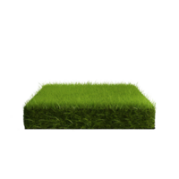 AI generated green grass land on transparent background PNG image