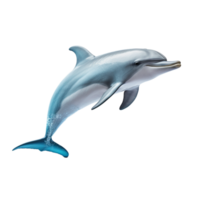 AI generated dolphin jumping on transparent background PNG image