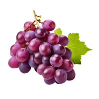 AI generated bunch of grapes on transparent background PNG image