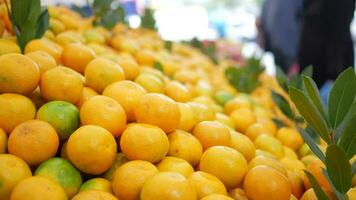 cerca arriba de rebanada de naranja frutas de venta a tienda video