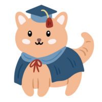 Cute animal wear graduation cap png