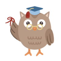 Cute animal wear graduation cap png