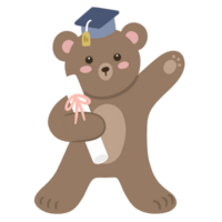 Cute animal wear graduation cap png