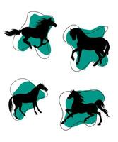 Galloping stallions vector