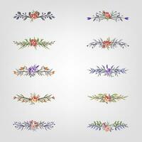 Set botanic blossom floral elements Decorative for Invitation vector