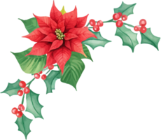 Christmas holly leaves and berries png