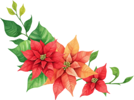 Christmas Watercolor Red Poinsettia Flowers With Leaves Bouquet png