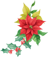 Christmas holly leaves and berries png