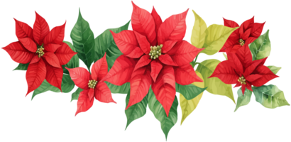 Christmas red poinsettia flower with leaves png