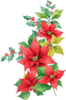 Christmas Watercolor Red Poinsettia Flowers With Leaves Bouquet png