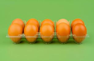 Chicken eggs arranged in egg casings. Brown eggs. Fresh breakfast eggs that are high in protein. animal egg shell photo