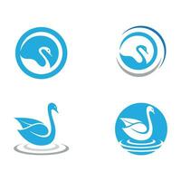 Swan icon Template vector