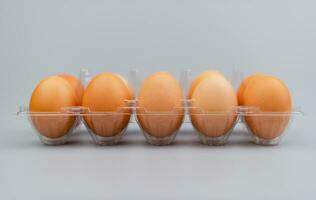 Chicken eggs arranged in egg casings. Brown eggs. Fresh breakfast eggs that are high in protein. animal egg shell photo