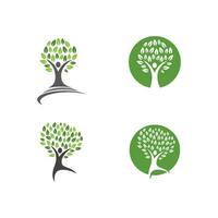 Logos of green Tree leaf ecology vector