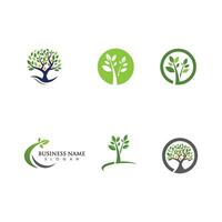 Logos of green Tree leaf ecology vector