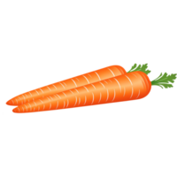 AI generated Fresh two Carrots. AI Generative png