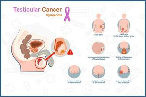 Medical vector illustration concept in flat style of testicular cancer. Symptoms of testicular cancer include back pain, discomfort in testicular, swelling in a scrotum, lump in either testicle.