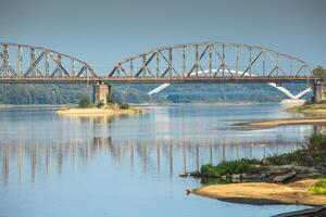 Polonia - correr famoso braguero puente terminado vistula río. transporte infraestructura. foto