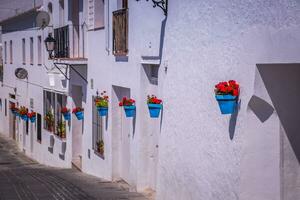 calle con flores en el mijas ciudad, España foto