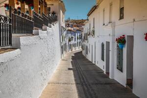 Picturesque street of Mijas with flower pots in facades. Andalusian white village. Costa del Sol. Southern Spain photo