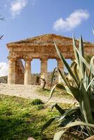 segesta archaeological site of ancient greece drills Sicily Italy photo