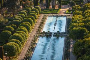 Gardens at the Alcazar de los Reyes Cristianos in Cordoba, Spain photo