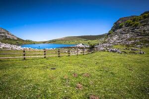 lago enol y montaña retiro, el famoso lagos de covadonga, Asturias , España foto