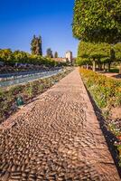 Gardens at the Alcazar de los Reyes Cristianos in Cordoba, Spain photo