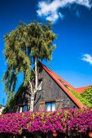 hola, típico casa y árbol foto