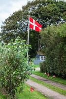 Danish flags are visible on the picture photo