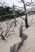 The Famous dune of Pyla fences, the highest sand dune in Europe photo