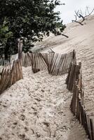 el famoso duna de pila vallas, el más alto arena duna en Europa foto