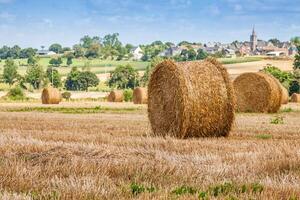 Straw Bales near the Sea in Normandy, France photo