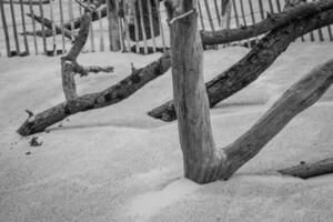 The Famous dune of Pyla fences, the highest sand dune in Europe photo