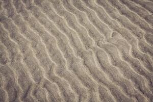 close up of sea beach sand or Desert sand for texture and background photo