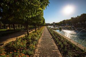 Gardens at the Alcazar de los Reyes Cristianos in Cordoba, Spain photo