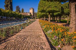 Gardens at the Alcazar de los Reyes Cristianos in Cordoba, Spain photo