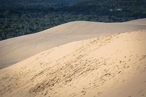 Great Dune of Pyla, the tallest sand dune in Europe, Arcachon bay, France photo