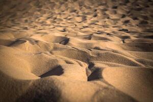 Great Dune of Pyla, the tallest sand dune in Europe, Arcachon bay, France photo