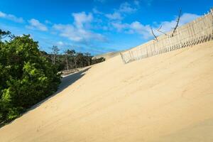 genial duna de pila, el más alto arena duna en Europa, arcachón bahía, Francia foto
