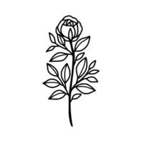 Vintage hand drawn rose floral and leaf branch vector line art illustration