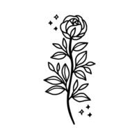 Vintage hand drawn rose floral and leaf branch vector line art illustration