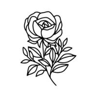 Vintage hand drawn rose floral and leaf branch vector line art illustration