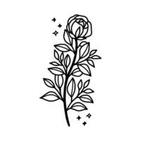 Vintage hand drawn rose floral and leaf branch vector line art illustration