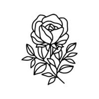 Vintage hand drawn rose floral and leaf branch vector line art illustration