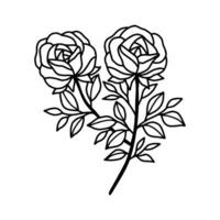 Hand drawn rose flower and leaf branch line art vector illustration design