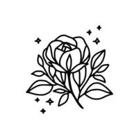 Hand drawn rose flower and leaf branch line art vector illustration design