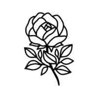 Hand drawn rose flower and leaf branch line art vector illustration design