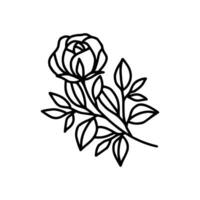 Hand drawn rose flower and leaf branch line art vector illustration design